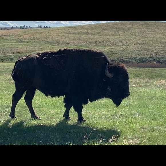 Meet your Posher, Scott - Picture 1 of 1